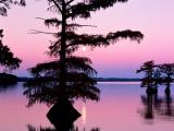 Jazero Reelfoot